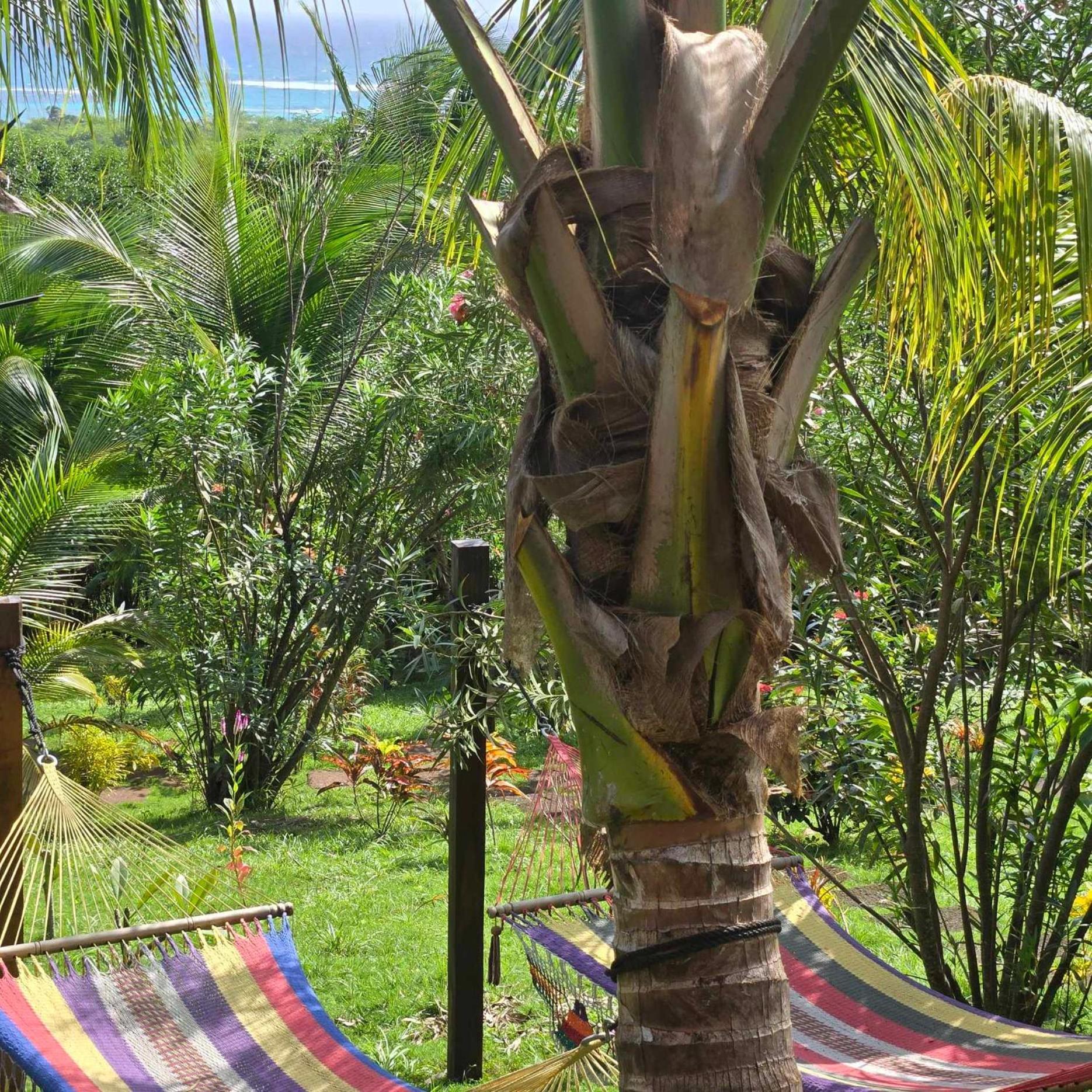 The Lighthouse Retreat, Little Corn Island, Nicaragua Exterior foto